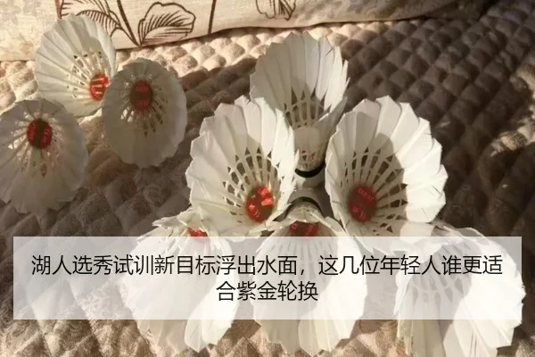 湖人选秀试训新目标浮出水面，这几位年轻人谁更适合紫金轮换